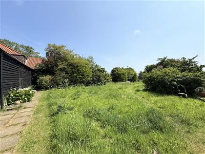 Picture 21